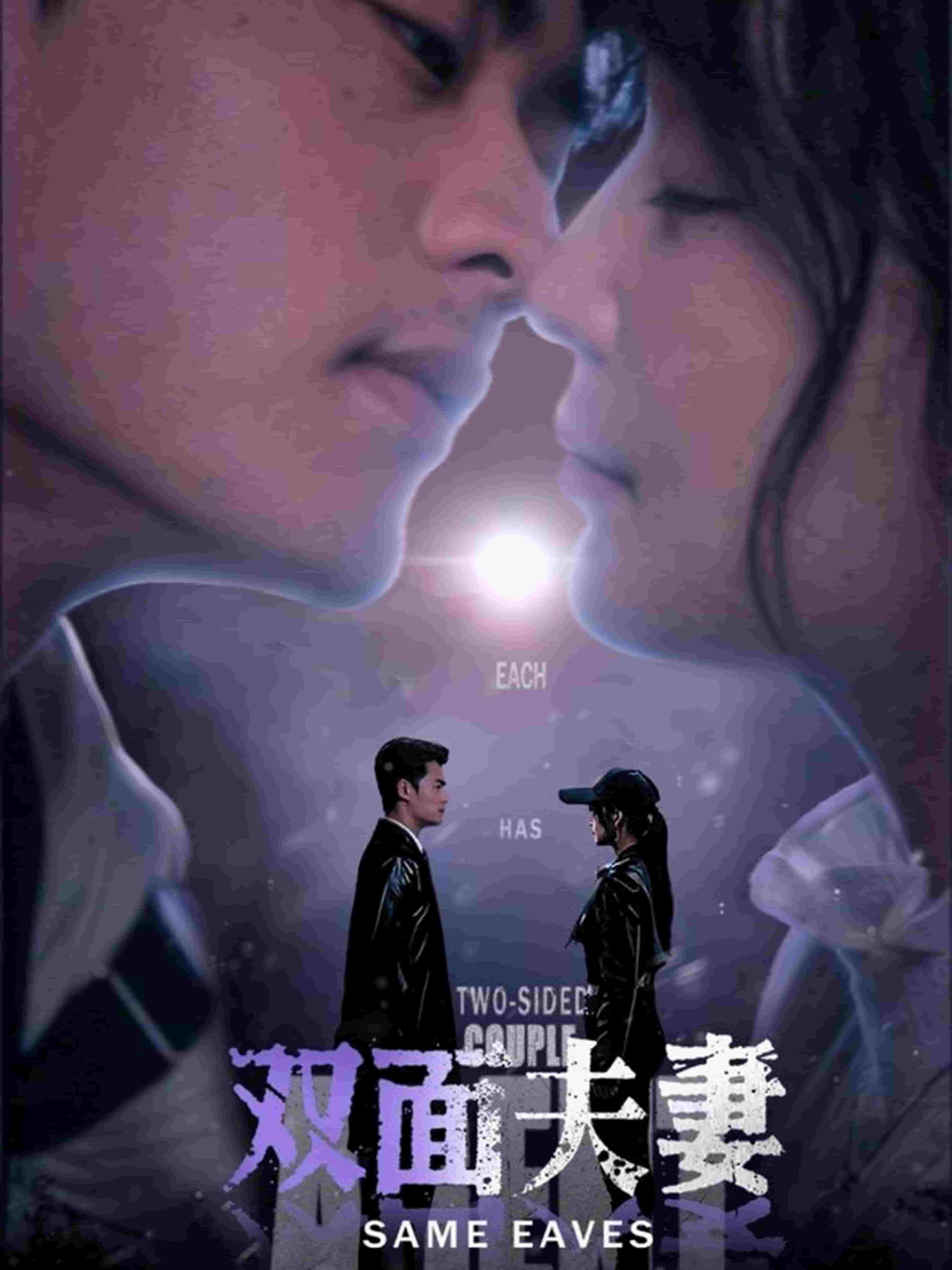 双面夫妻(全集)