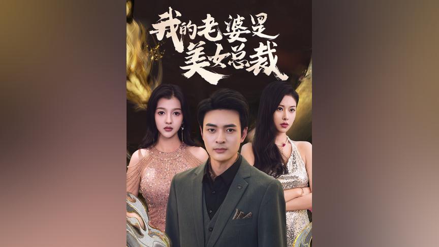 （新）我的老婆是美女总裁(全集)