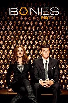 识骨寻踪第9季(全集)