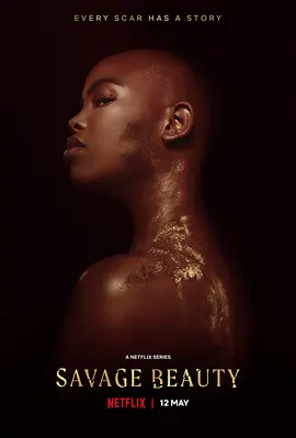 美丽破坏者第2季(全集)